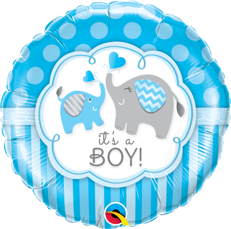 IT'S A BOY ELEPHANTS