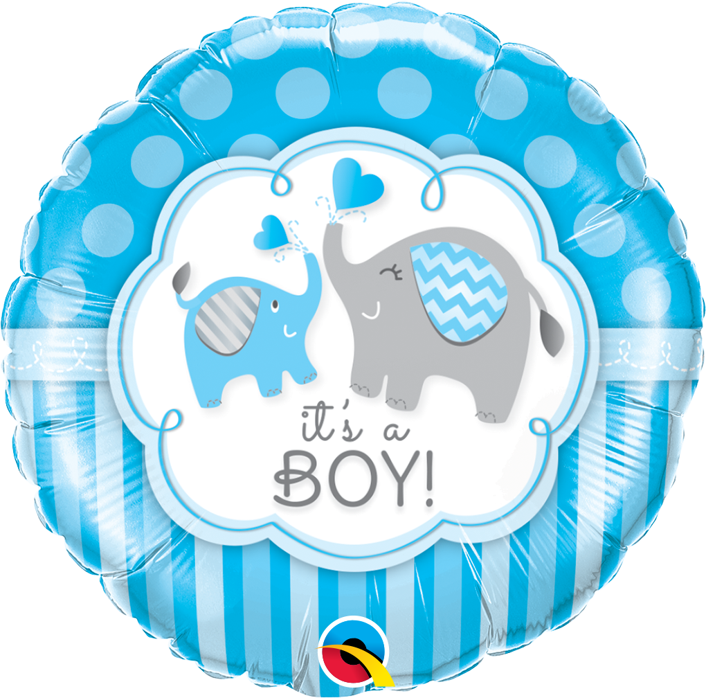 IT'S A BOY ELEPHANTS