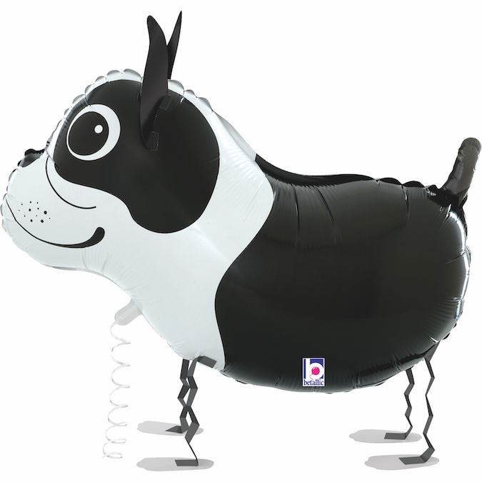 18100-Balloon-Friends-Boston-Terrier_side 18100-Balloon-Friends-Boston-Terrier_side