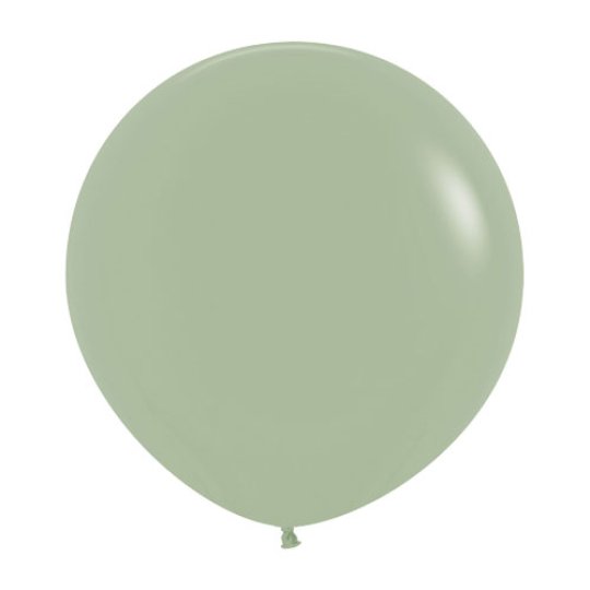 eucalyptus 24'' latex 3ct