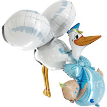 it's a boy stork