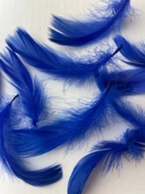 Royal Blue goose feathers by Jaffé.