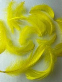 Yellow goose feathers by Jaffé.
