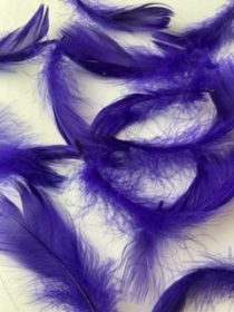 Purple goose feathers by Jaffé.