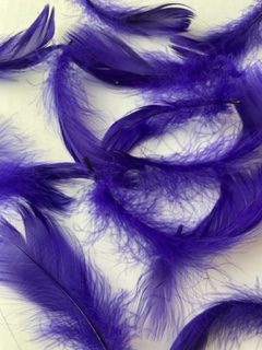 IMG_5511 Purple goose feathers by Jaffé.