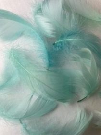 Mint Green goose feathers by Jaffé.