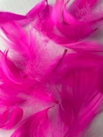 Shocking Pink goose feathers by Jaffé.
