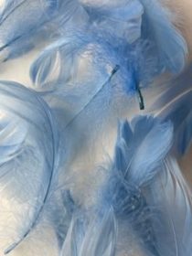 Powder Blue goose feathers by Jaffé.