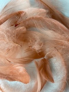 Rose Gold goose feathers by Jaffé.