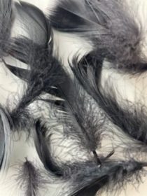 Black goose feathers by Jaffé.