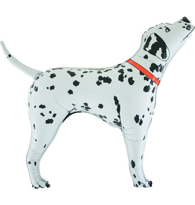 DALMATION DOG VENDING