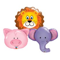 Animals