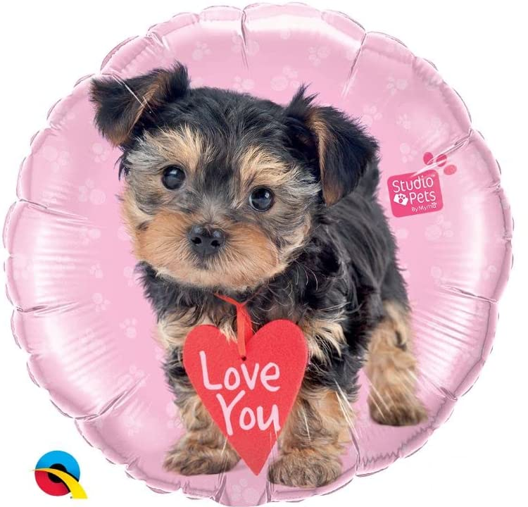 55232 studio pets love you dog qualatex