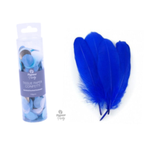 Accessories - Confetti and Feathers